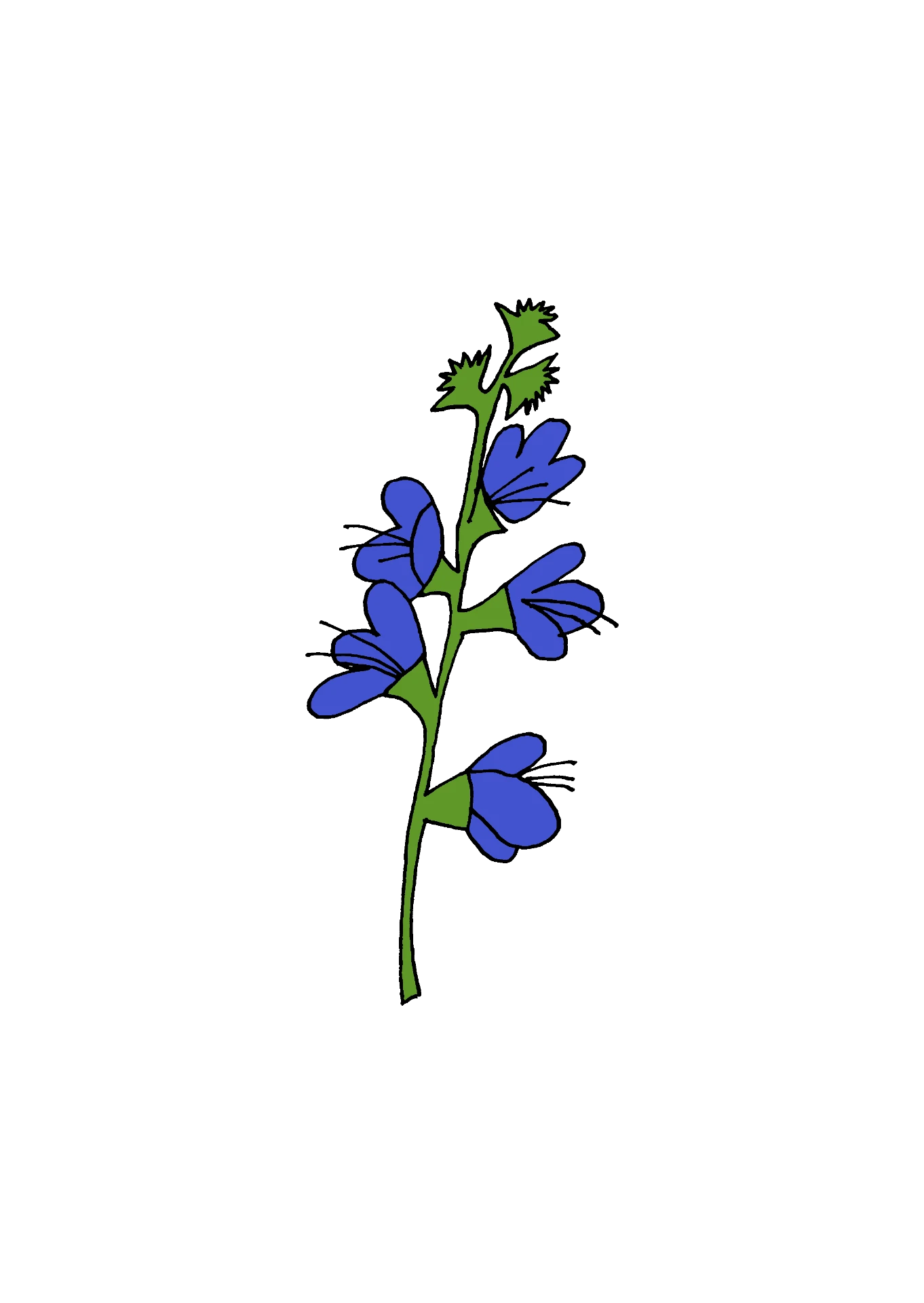 Blåeld