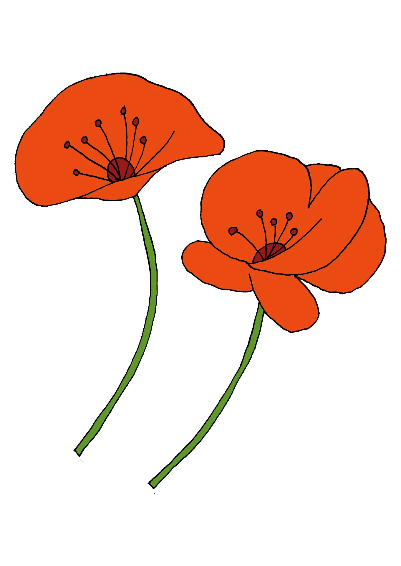 Vallmo